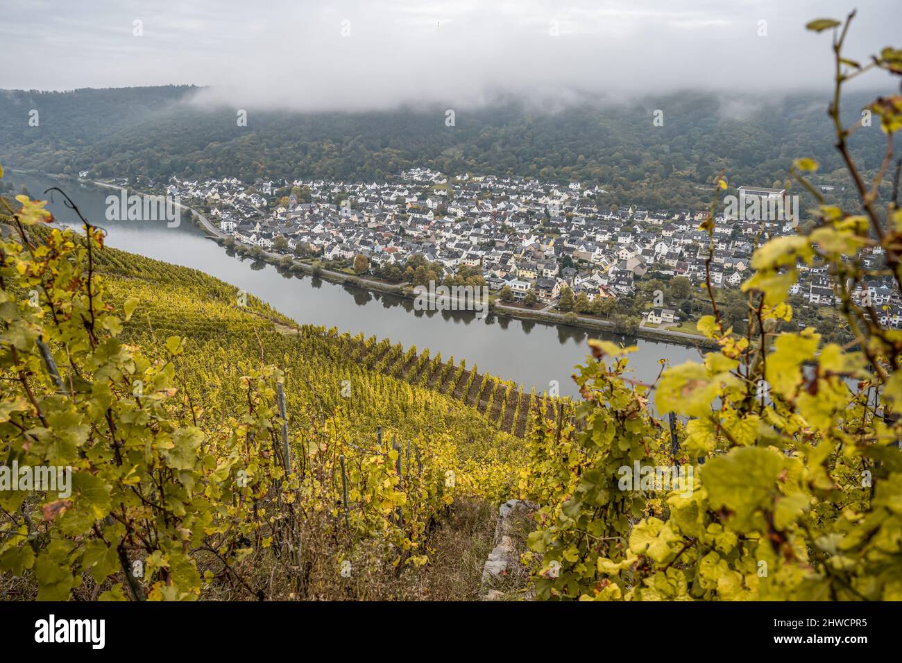 Famous German Wine Region Moselle River Lay village. Stock Photo