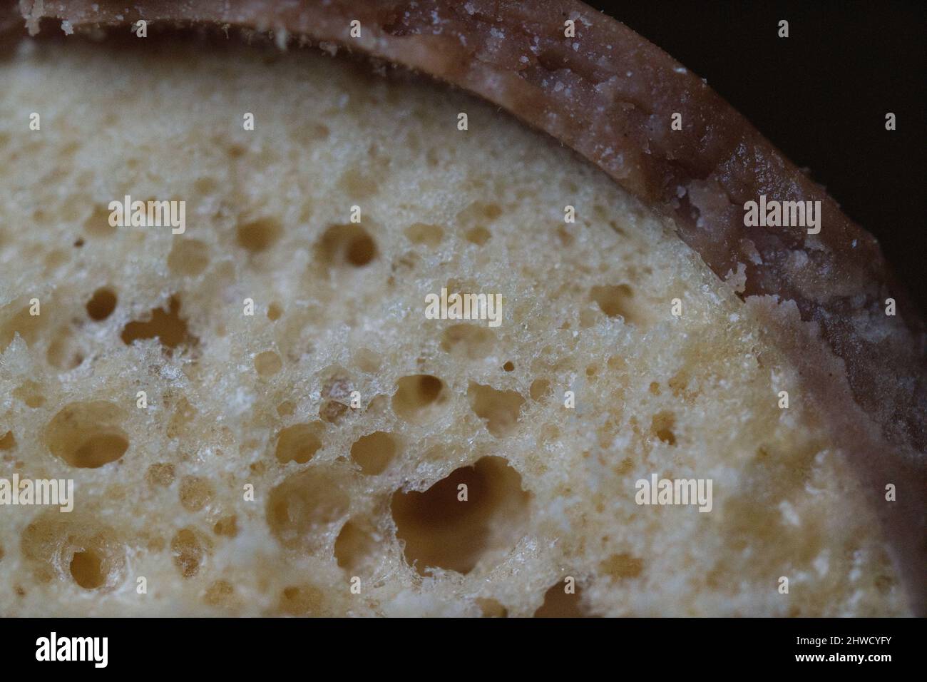 Malteser at 5x magnification Stock Photo