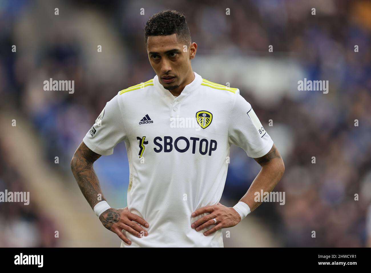 Leeds united hi-res stock photography and images - Alamy