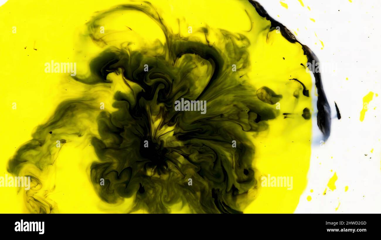 Multicolored paints pour into patterns milk. Close-up of bright ...