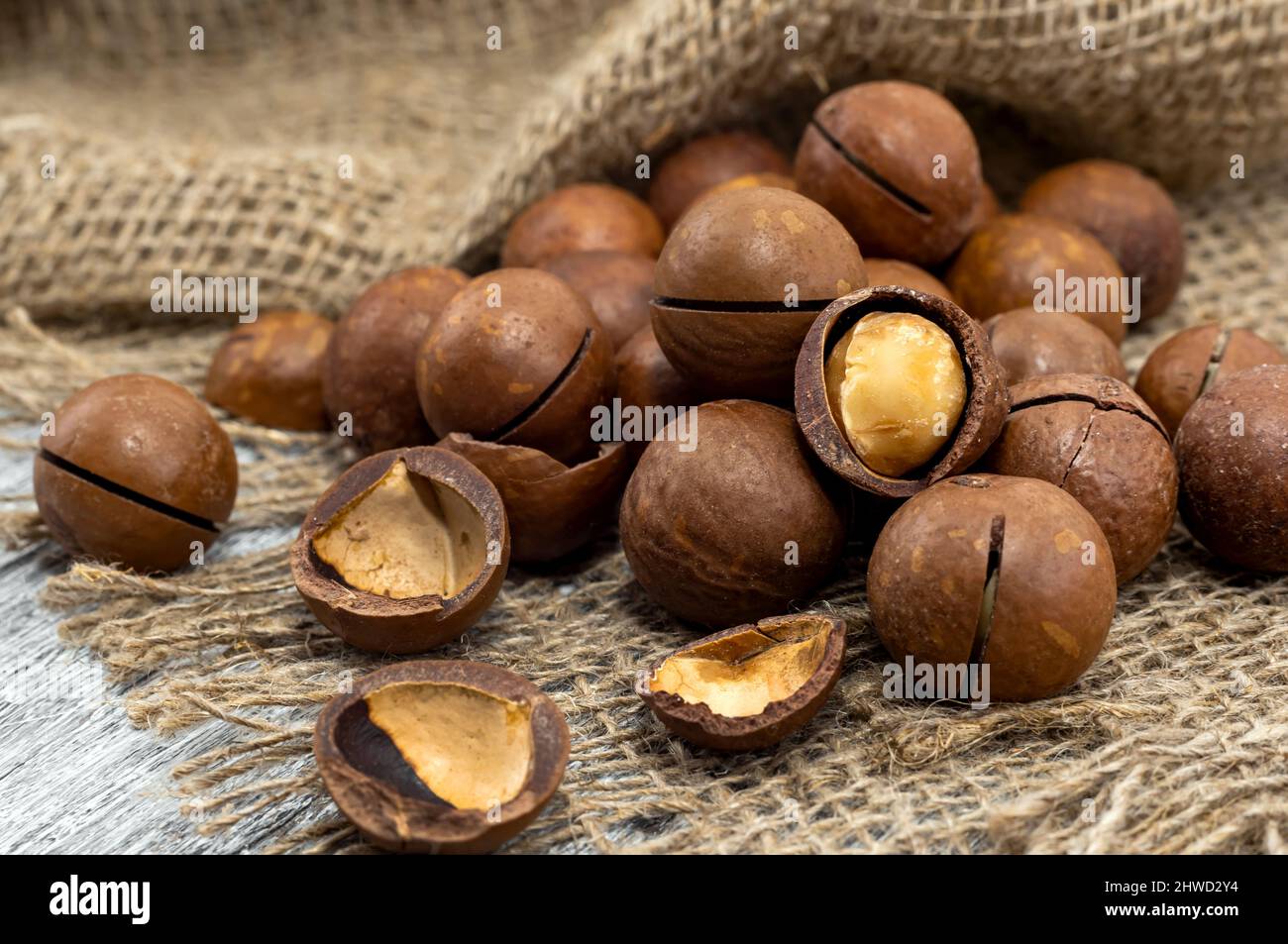 Macadamia. Macadamia nuts lie in a pile on a rough gray cloth, peeled ...