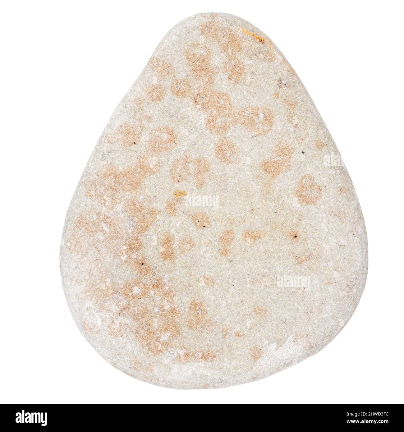 Top view of single gray pebble isolated on white background. Stock Photo
