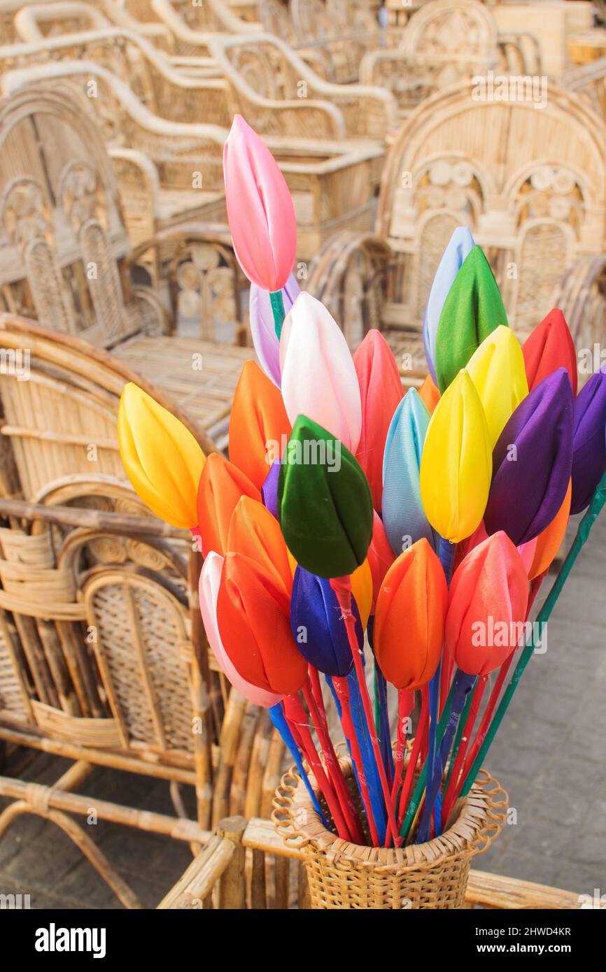 Indian tulip flower hi-res stock photography and images - Alamy