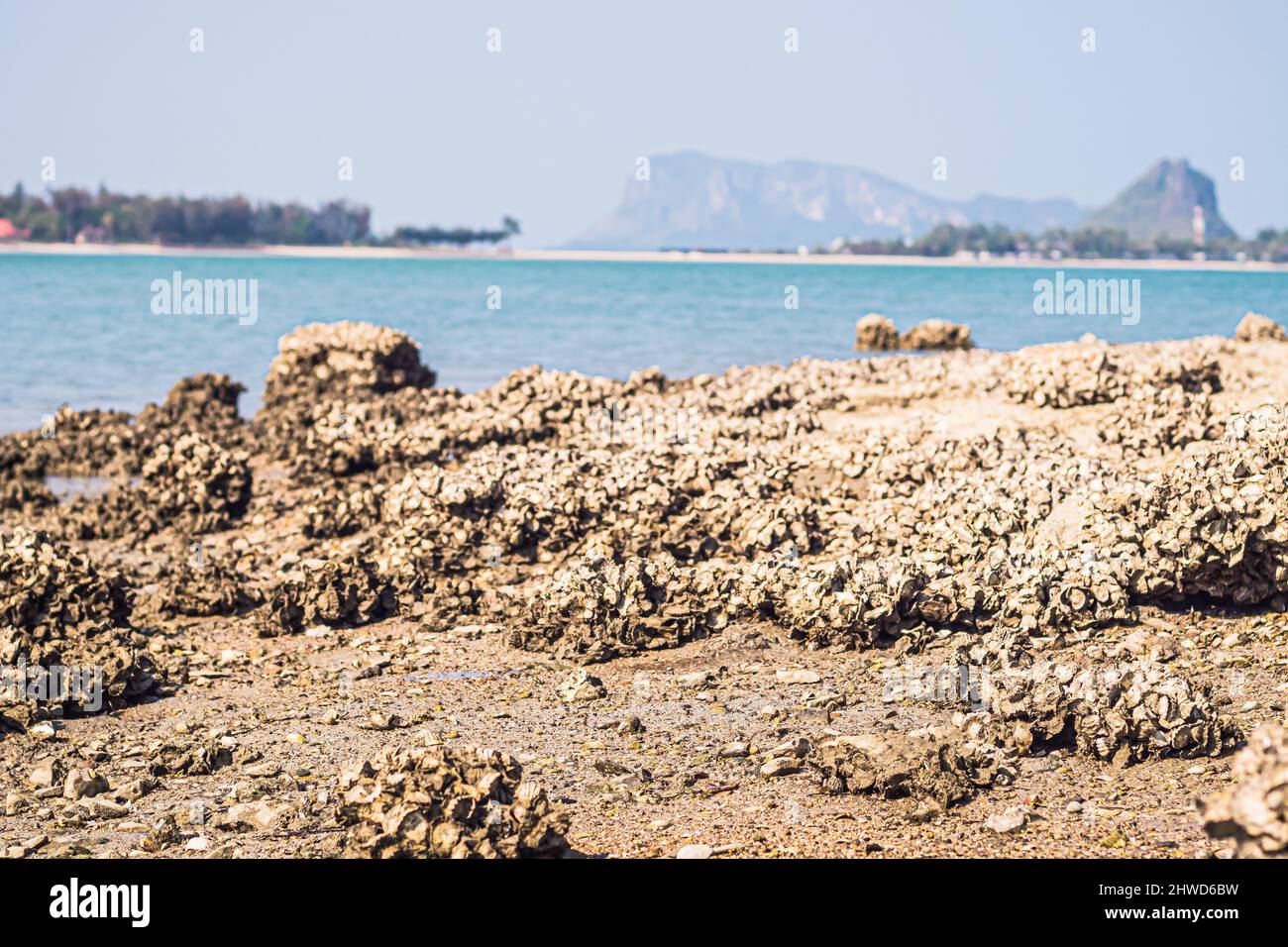 Beach rock horizon scenics Calm sea blue water ocean blue sky Stock ...