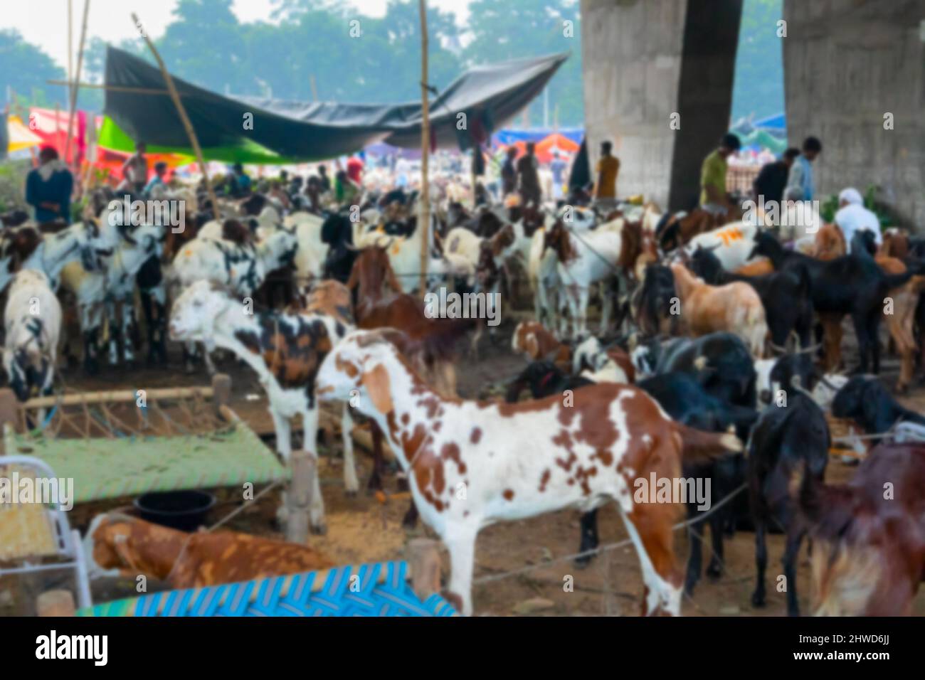 Blurred image of Goats are being sold in market during 'Eid al-Adha' or 'Feast of the Sacrifice' or Eid Qurban or 'Festival of the Sacrifice',to be sa Stock Photo