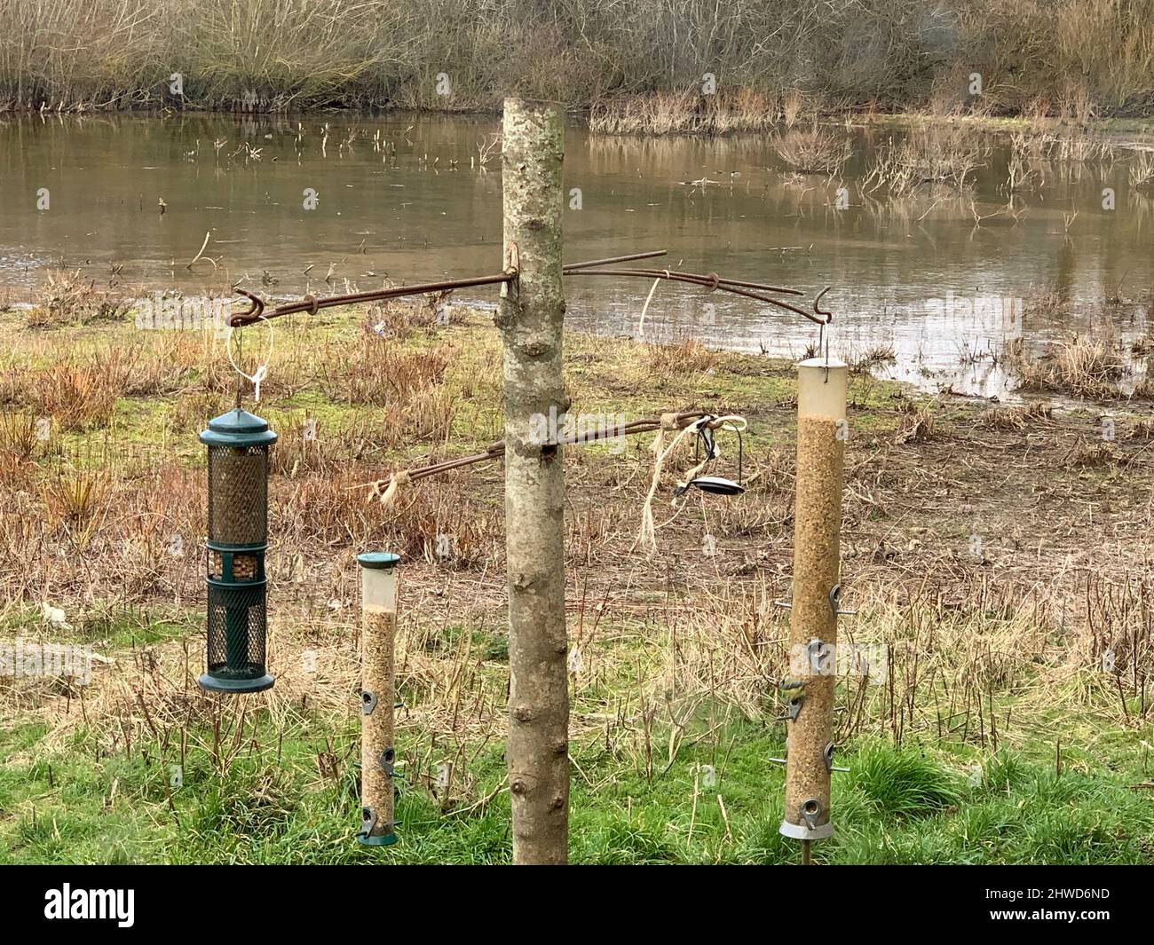 Bird hithe and birds at Draycott Water Southern water Warwickshire