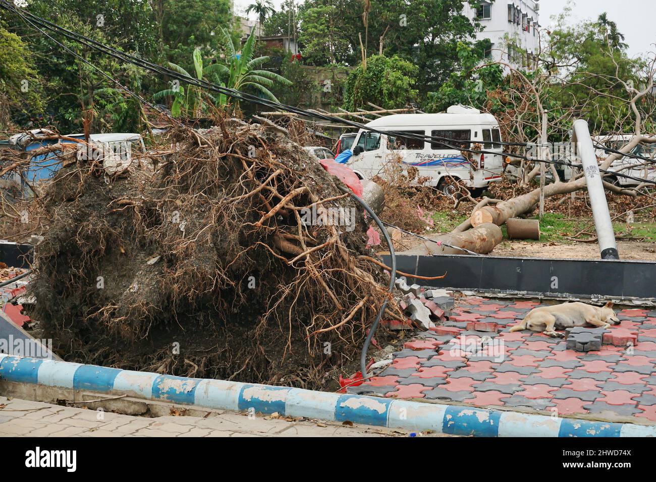 Howrah, West Bengal, India - 31st May 2020 : Super cyclone Amphan ...