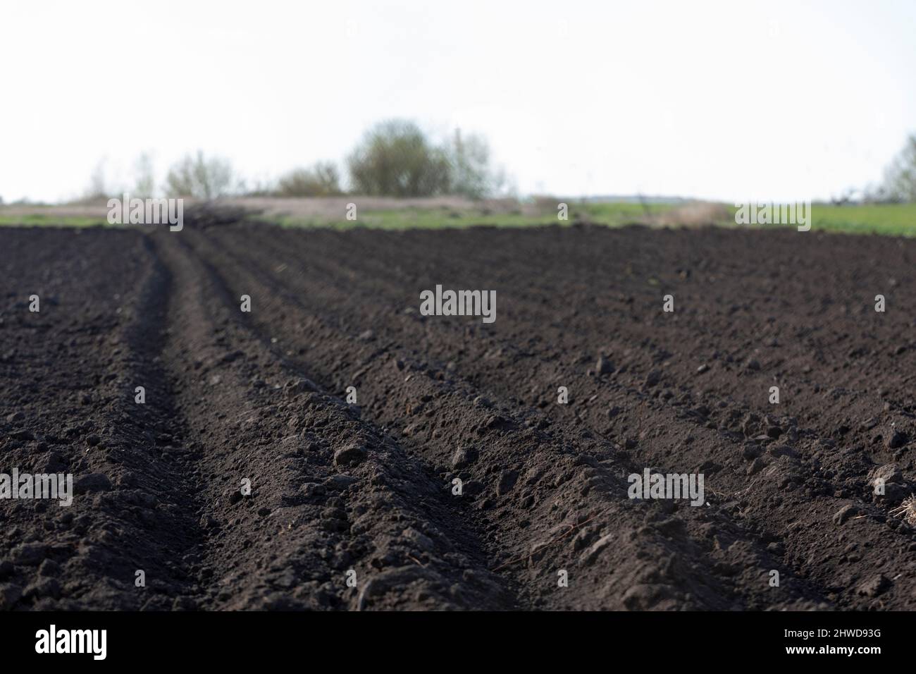 Spring arable land on a farm with black soil, fertile soil of the agro