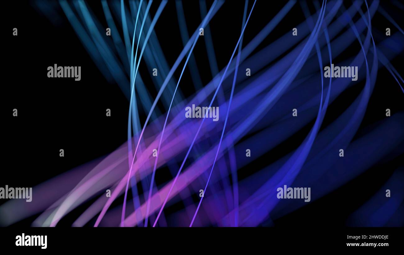 Abstract animation of colored lines on a black background. Animation