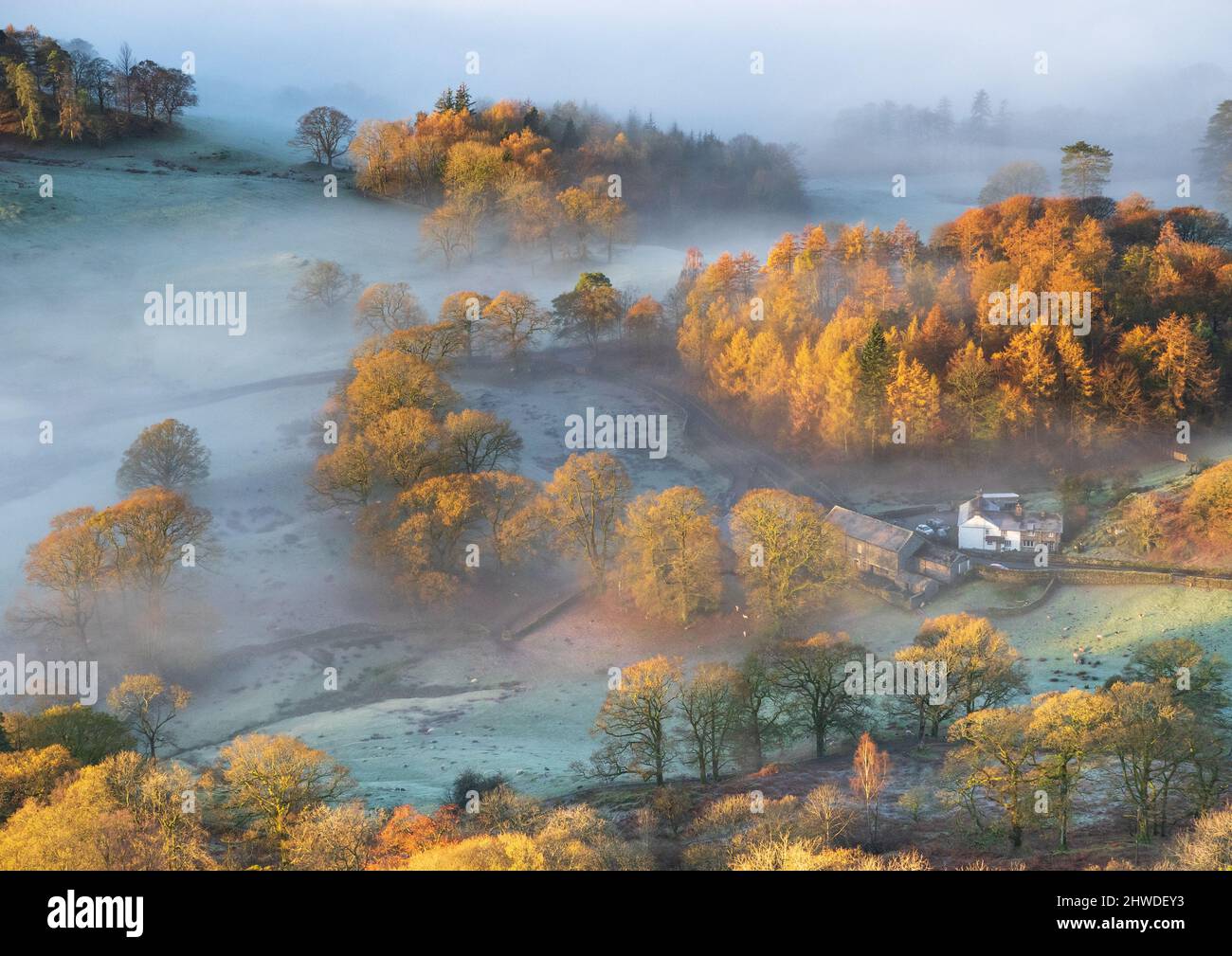 The landscape surrounding Oaks Farm, Great Langdale, is transformed by early light catching the mist and frost on a beautiful autumn morning. Stock Photo