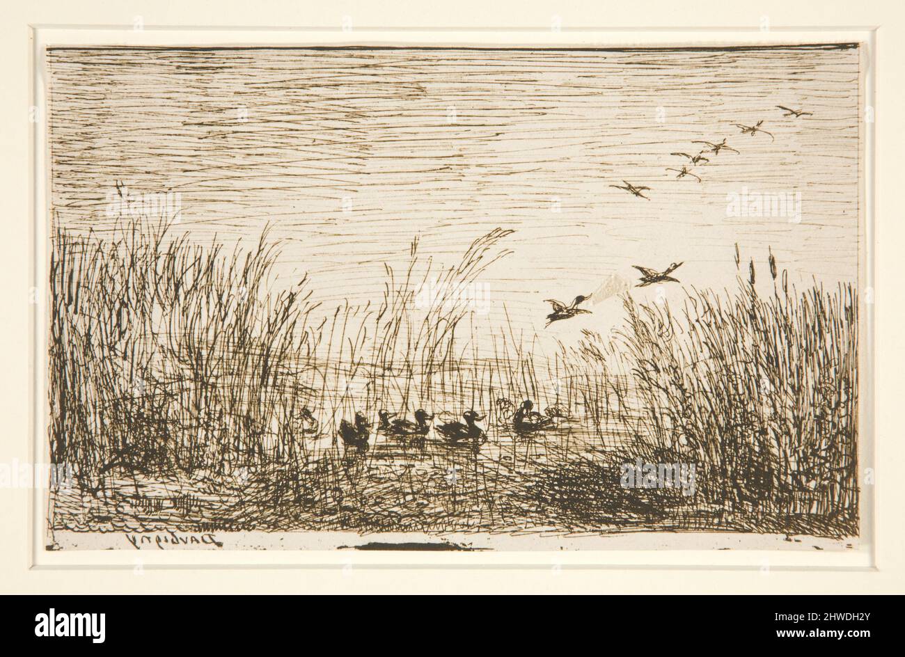 Le Marais aux canards (Swamp with Ducks). Artist CharlesFrançois