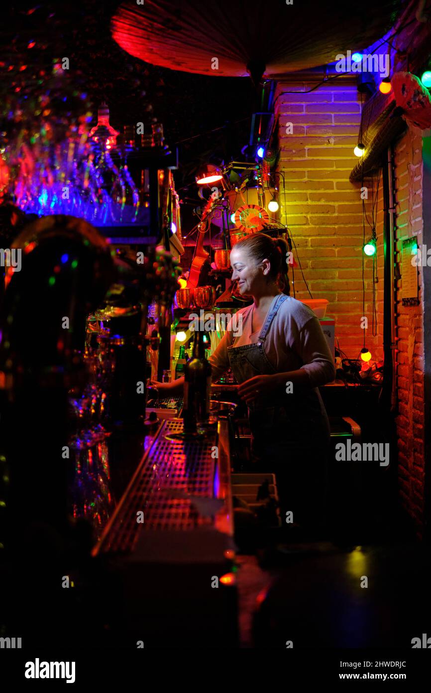 Female bartender smiling while working behind the counter of a bar or