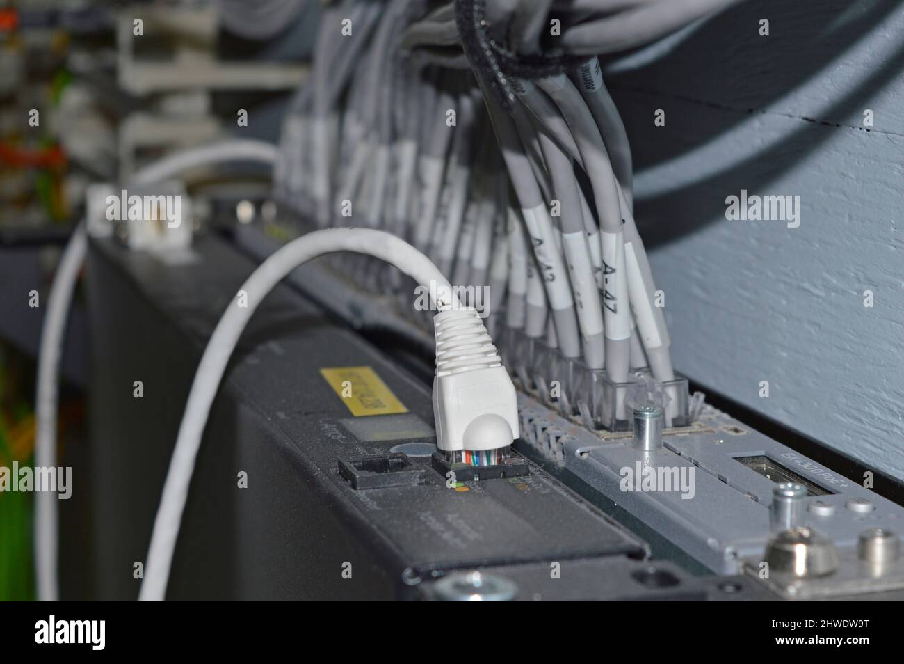 network cables plugged into a router or hub Stock Photo Alamy