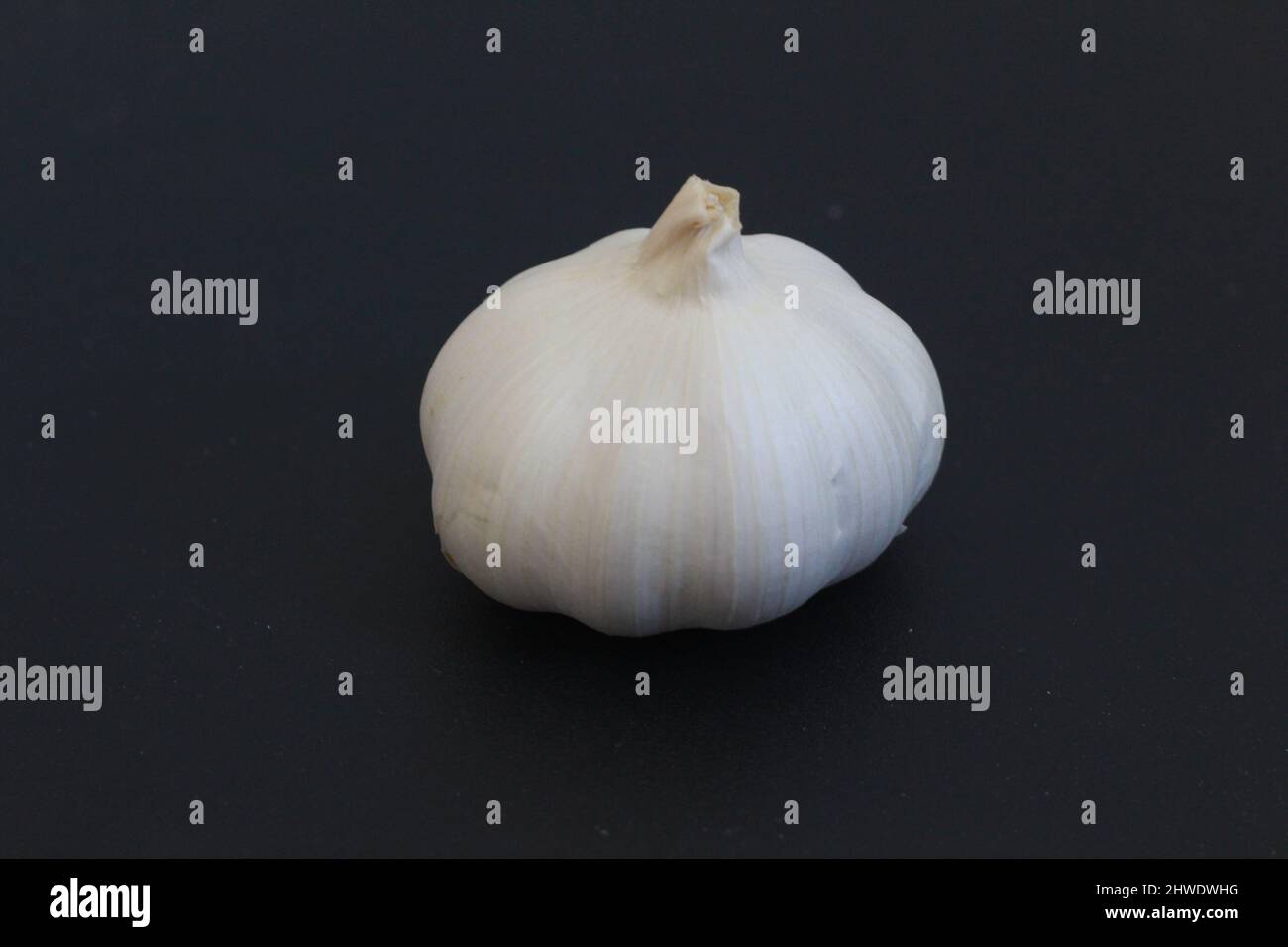 bulb of Garlic Stock Photo Alamy