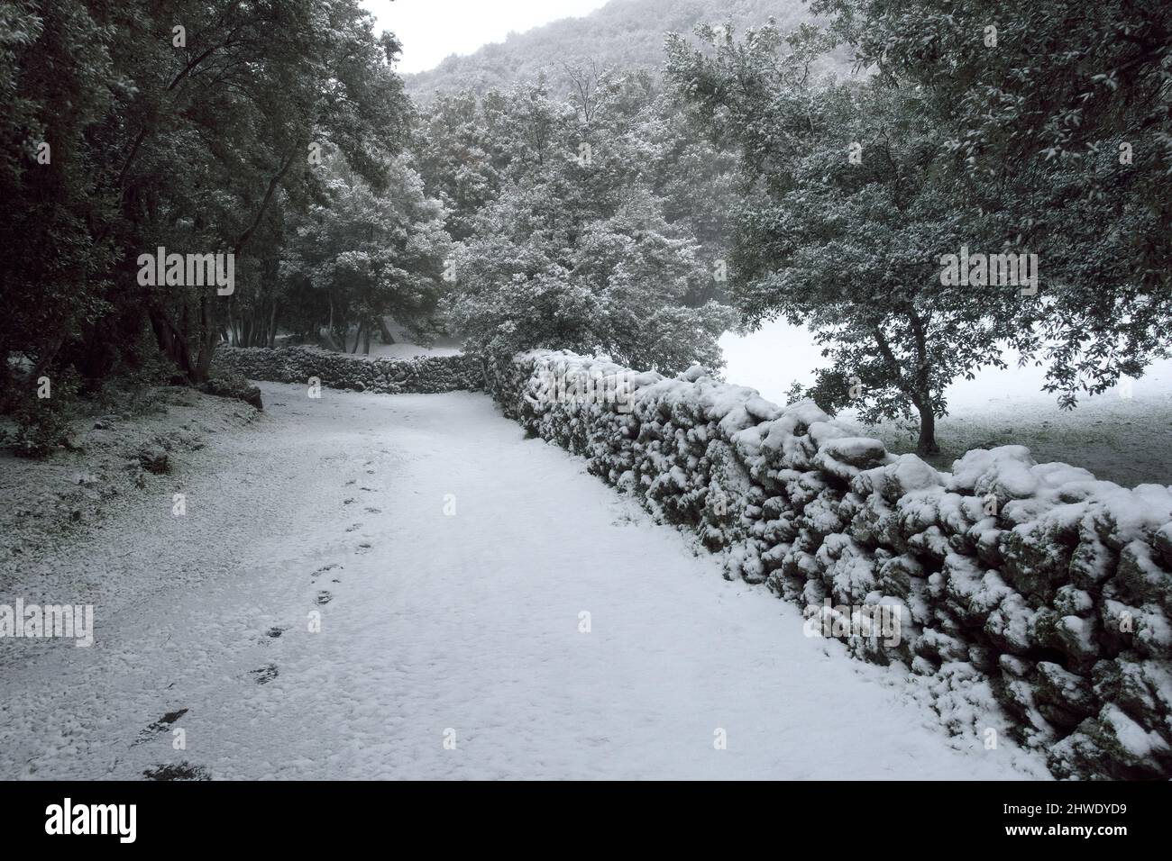 white snow falling on woodland path of Sicily Stock Photo