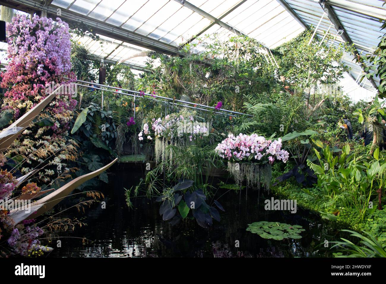 The 2022 Orchid Festival in the Princess of Wales Conservatory, Kew