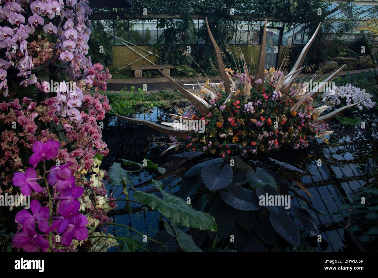 The 2022 Orchid Festival in the Princess of Wales Conservatory, Kew