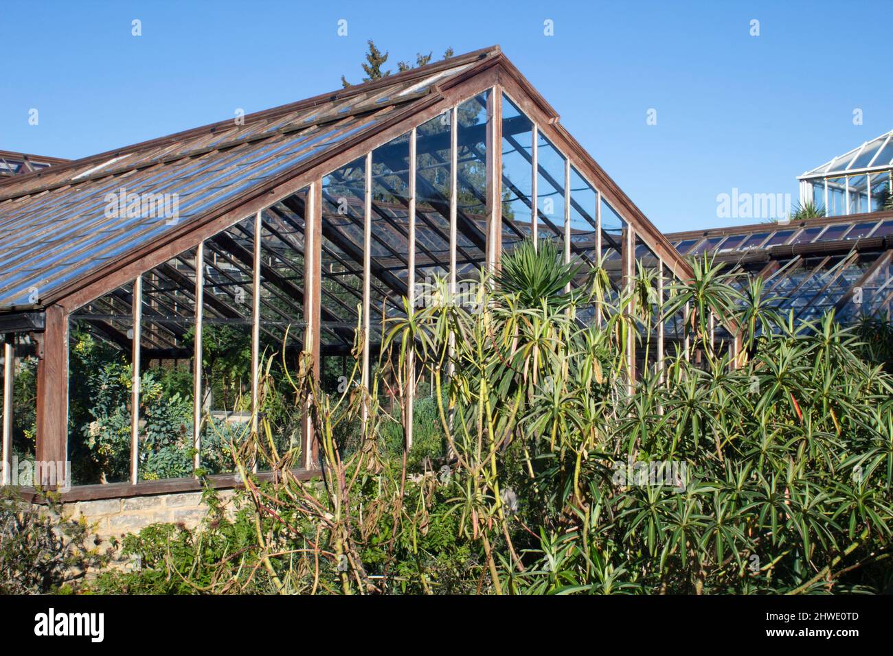 The glasshouse in the Cambridge University Botanic Garden, Cambridge