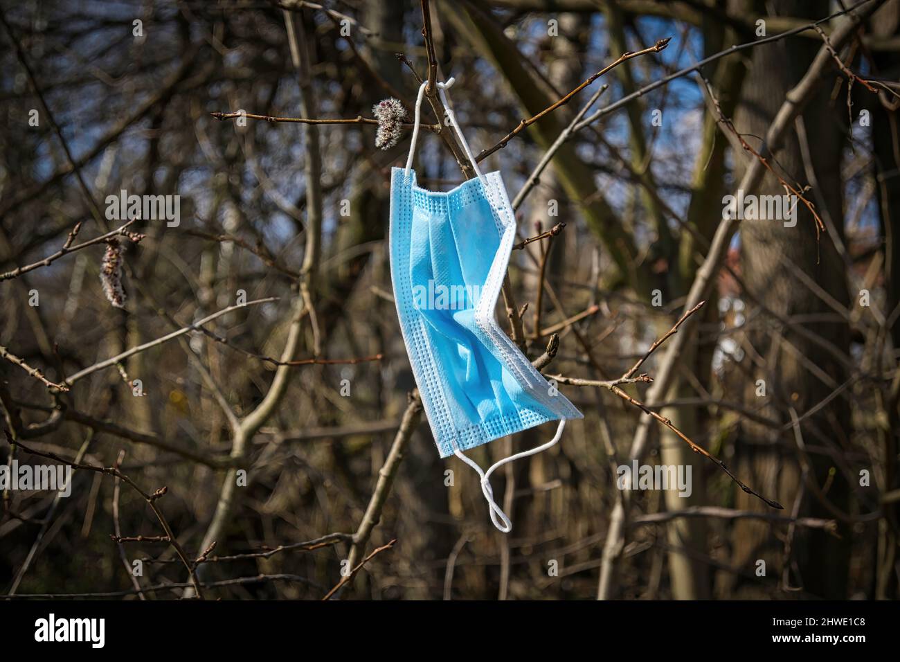 Thoughtlessly discarded protective mask against SARS-Covid-19 hanging in a bush. Stock Photo