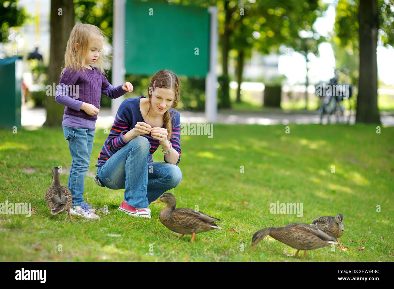 Young mother and her little daughter feeding ducks on summer day. Child