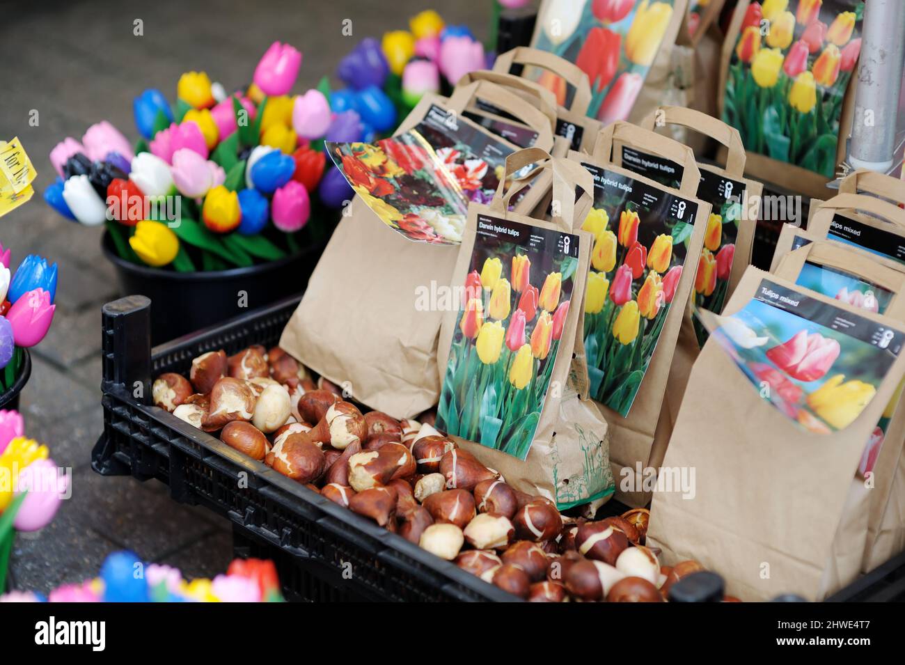 AMSTERDAM - AUGUST 2011: Assorted flower bulbs and souvenirs sold in flower shop in Amsterdam, Netherlands, Holland. Stock Photo