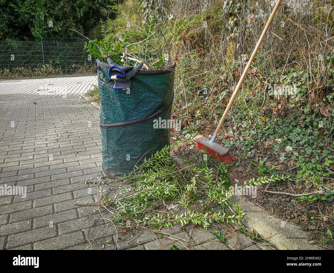 Garden Maintenance work. Green gardener bag and broom. Spring Hedge trimming at fence on a
