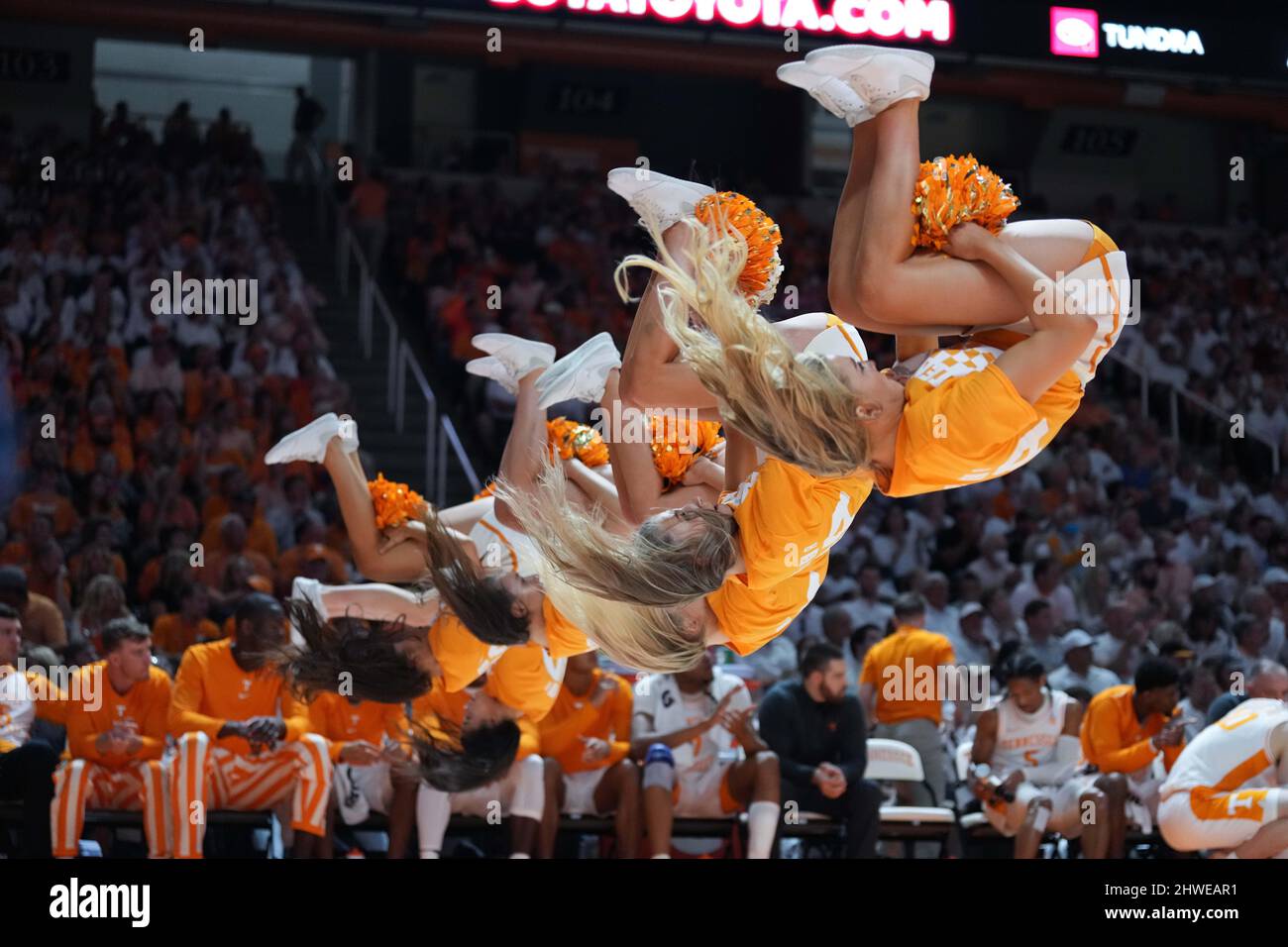 March 5, 2022: Tennessee Volunteers cheerleaders during the NCAA basketball game between the University of Tennessee Volunteers and the University of Arkansas Razorbacks at Thompson Boling Arena in Knoxville TN Tim Gangloff/CSM Stock Photo