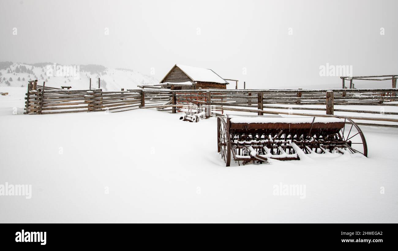 Corral Rake Corral rake hi-res stock photography and images - Alamy
