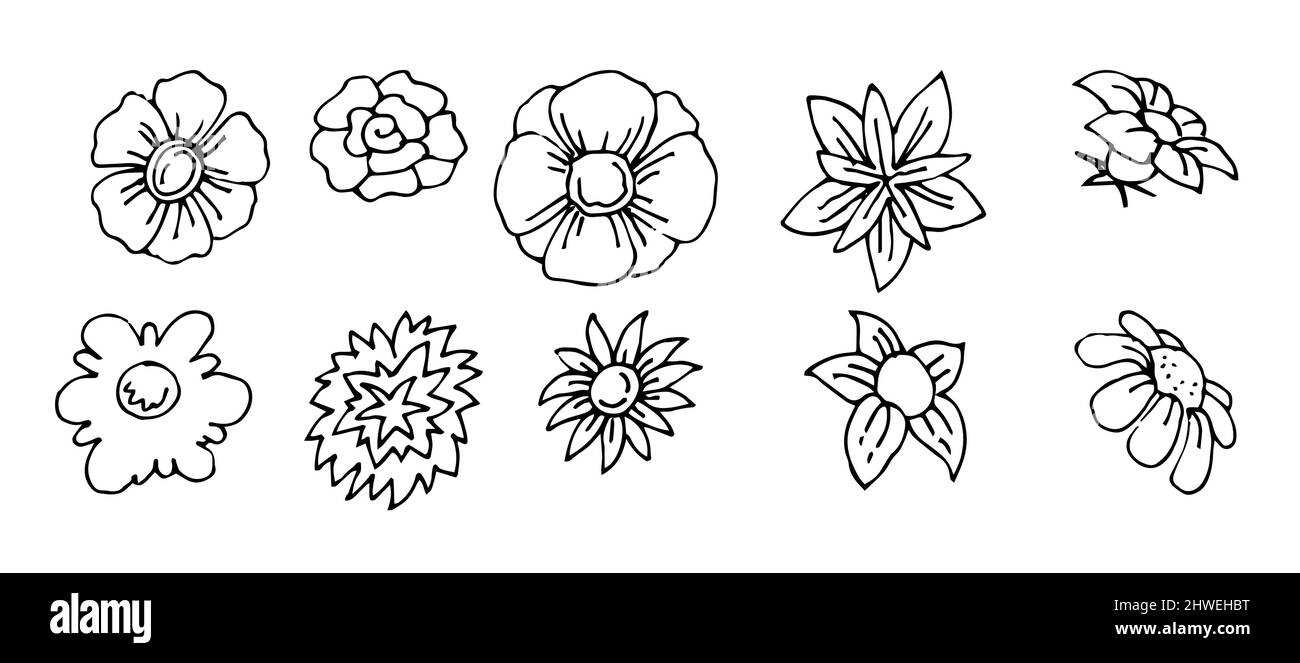 Set of beautiful funny flower. Cute simple cartoon style. Outline sketch.  Hand drawing is isolated on a white background. Vector Stock Vector Image &  Art - Alamy