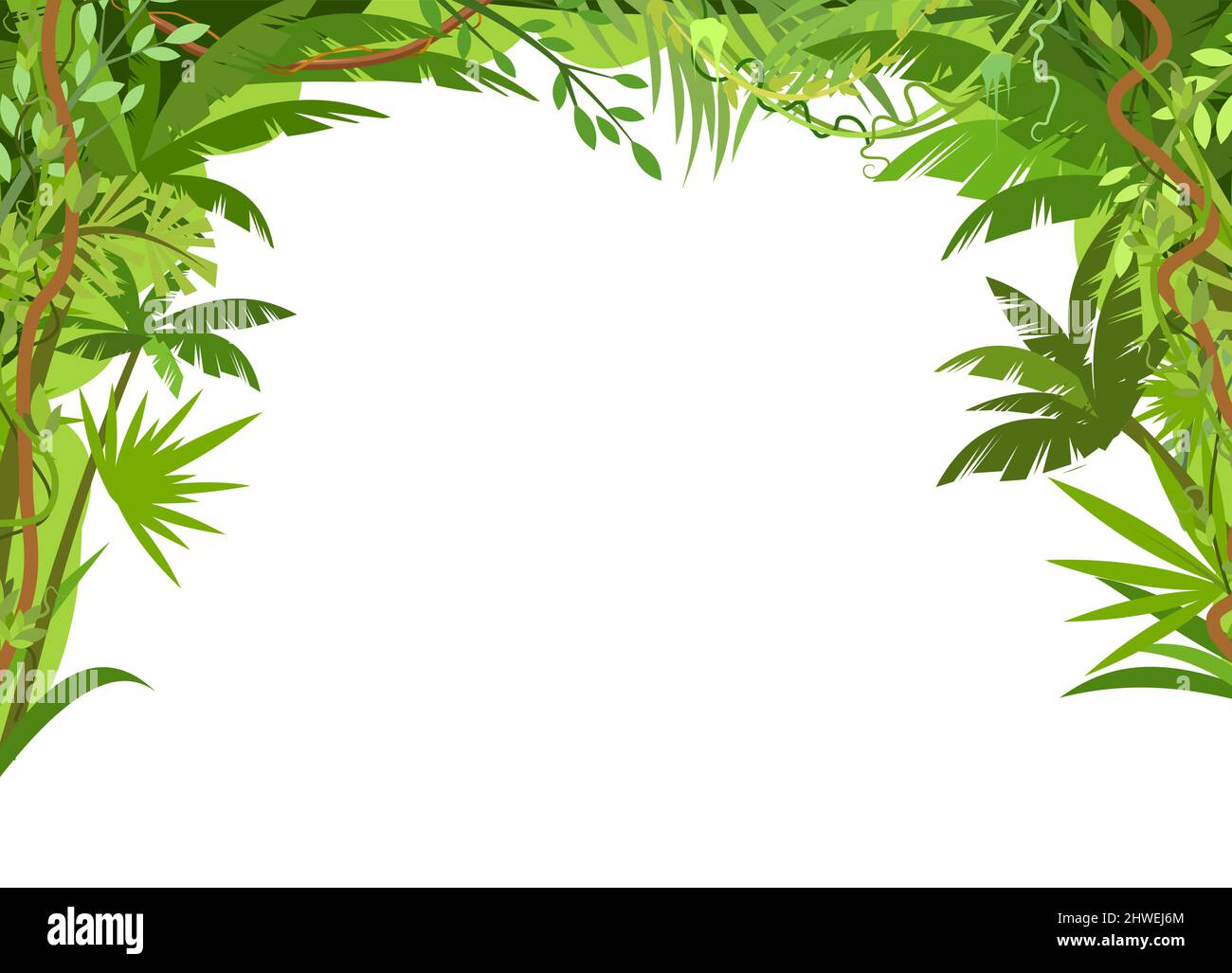 Rainforest canopy. Jungle frame. Branches of tropical trees, grasses and bushes. Curly shoots and stems of vines. Flat cartoon style. In the form of Stock Vector
