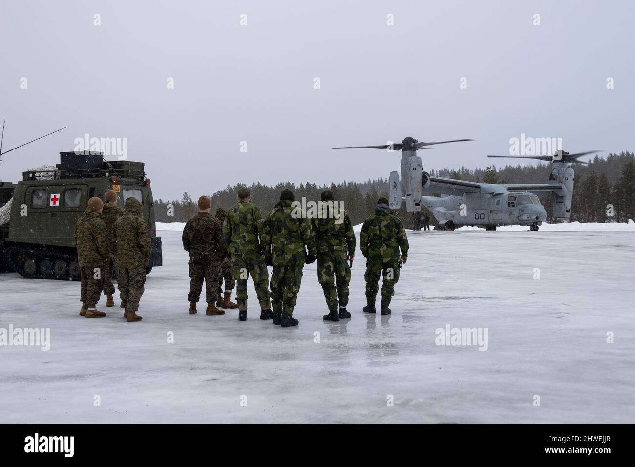 Swedish Armed Forces service members and U.S. Navy Sailors with 2nd Marine Aircraft Wing, II Marine Expeditionary Force, observe an MV-22B Osprey at Norwegian Army Base Setermoen, Norway, March 2, 2022. Exercise Cold Response ’22 is a biennial exercise that takes place across Norway, with participation from each of its military services, as well as from 26 additional North Atlantic Treaty Organization (NATO) allied nations and regional partners. (U.S. Marine Corps photo by Lance Cpl. Elias E. Pimentel III) Stock Photo