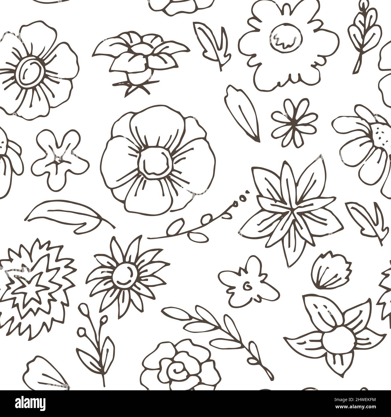 Beautiful funny flower. Seamless pattern. Cute simple cartoon style.  Outline sketch. Hand drawing is isolated on a white background. Vector  Stock Vector Image & Art - Alamy