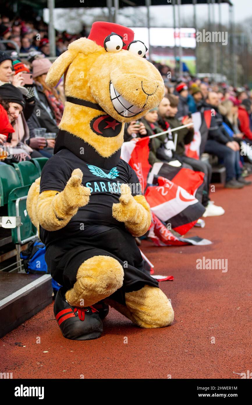 Barnet, United Kingdom. 05th Mar, 2022. Gallagher Premiership Rugby. Saracens V Leicester Tigers. StoneX Stadium. Barnet. Saracens mascot Sarrie the Camel Credit: Sport In Pictures/Alamy Live News Stock Photo