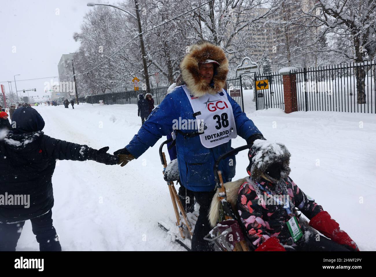 Martin Buser during the ceremonial start of the 50th Iditarod Trail Sled  Dog Race in Anchorage, Alaska, U.S. March 5, 2022. REUTERS/Kerry Tasker  Stock Photo - Alamy