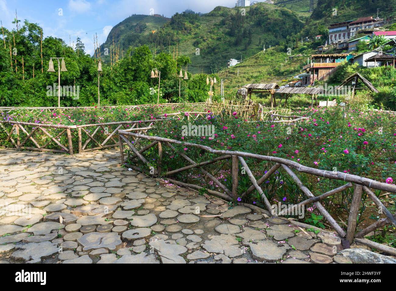 The path in the garden of wooden round logs. Wood texture. In the park ...