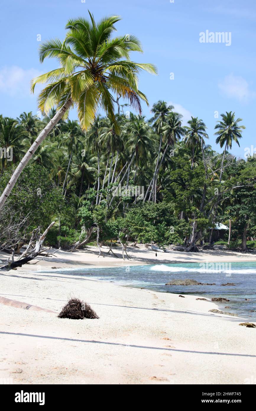 Tropical beach scene - Mentawai Islands Indonesia This remote area of Indonesia is home to some beautiful beaches and some of the best surf breaks in Stock Photo