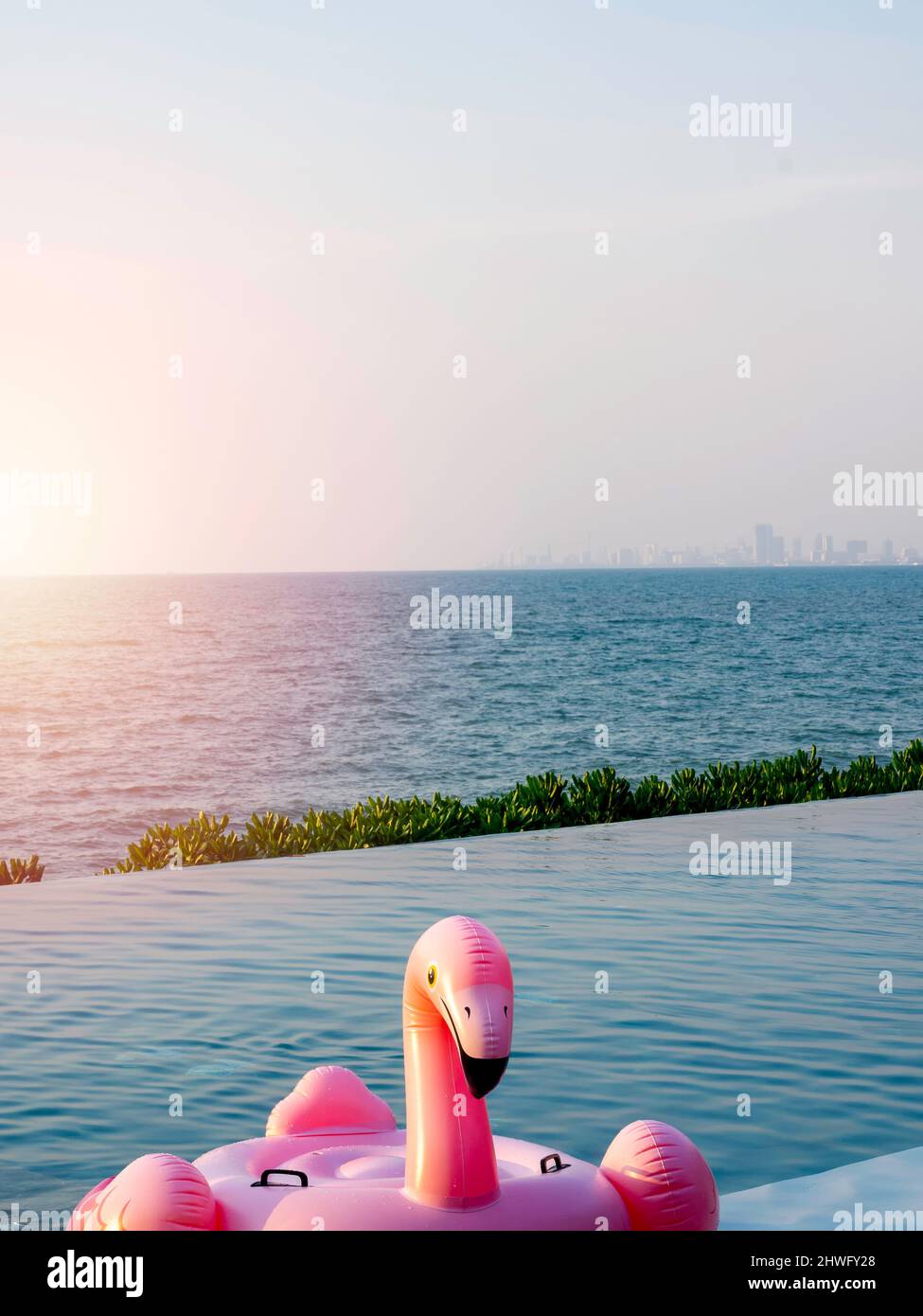 Face of lonely pink flamingo, inflatable ring in the swimming pool on sea and blue sky background with copy space, vertical style. Flamingo swim ring Stock Photo