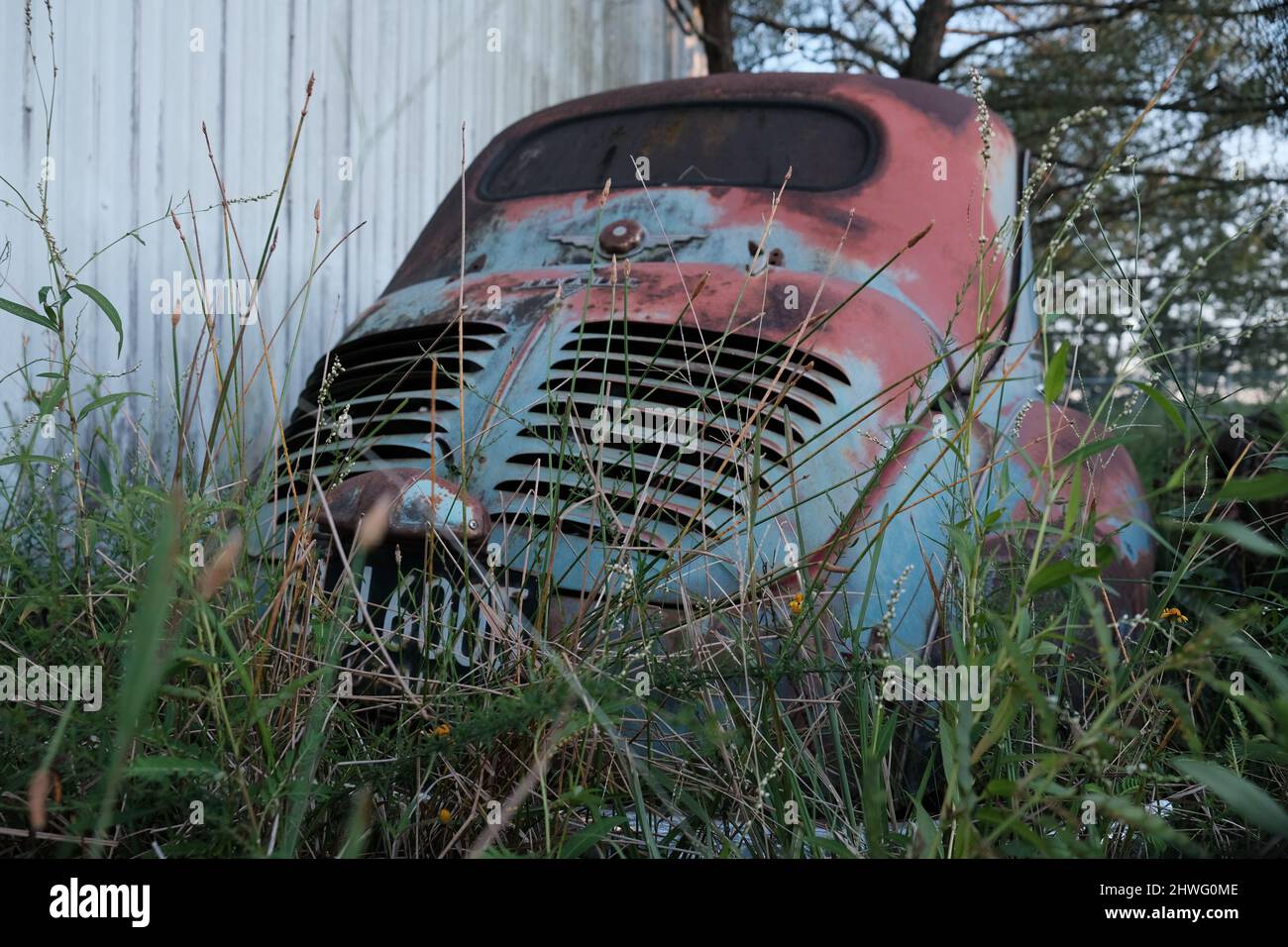 Renault Bug Classic Car Old Field Rust Stock Photo