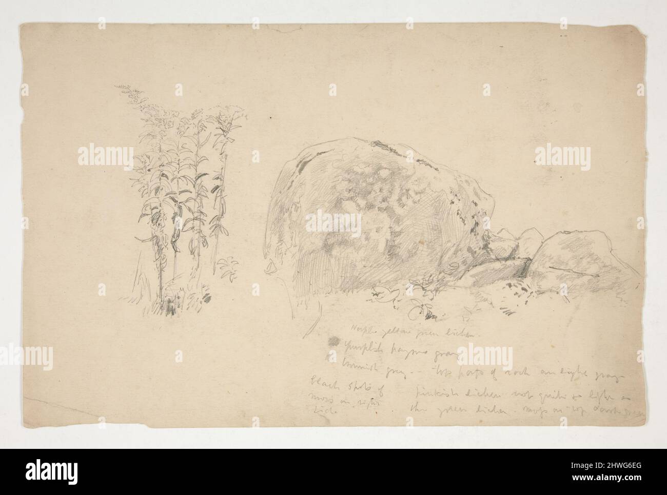Sketches of rocks, weeds. Artist: Edwin Austin Abbey, American, 1852 ...