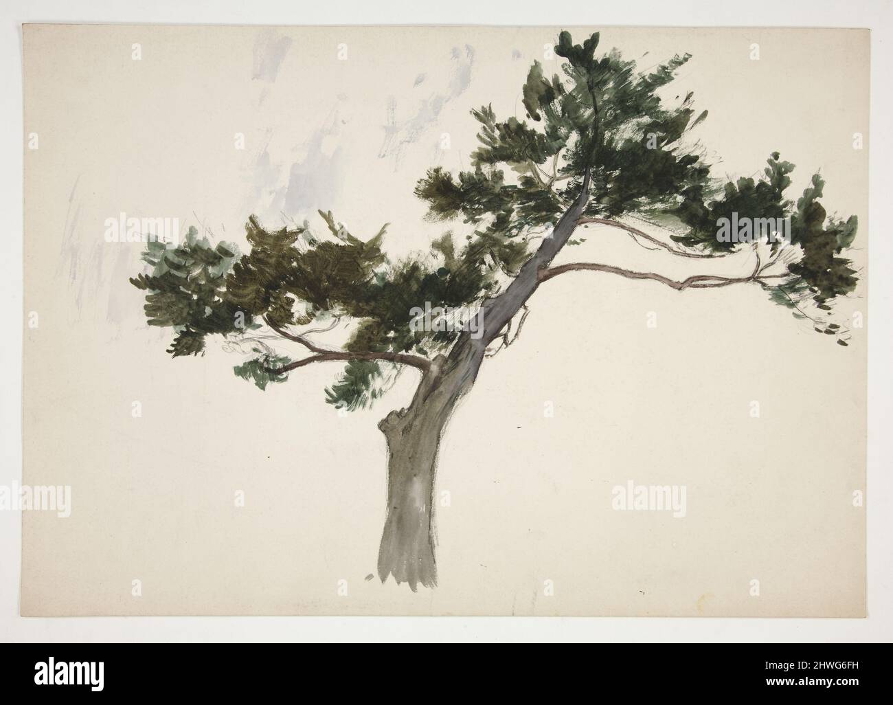 Study of a tree. Artist Edwin Austin Abbey, American, 18521911, M.A