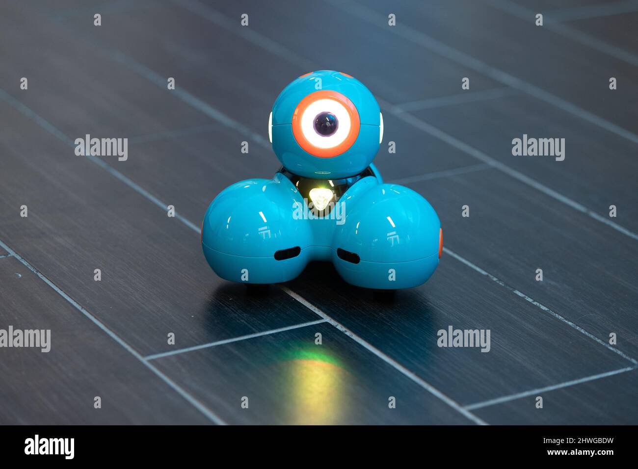 https://c8.alamy.com/comp/2HWGBDW/vechta-germany-01st-feb-2022-the-learning-robot-dash-stands-on-the-floor-of-the-robolab-moin-veroza-at-the-university-of-vechta-interested-parties-can-touch-and-try-out-robots-there-and-familiarize-themselves-with-the-technology-fears-of-digital-progress-are-to-be-reduced-in-this-way-credit-friso-gentschdpaalamy-live-news-2HWGBDW.jpg