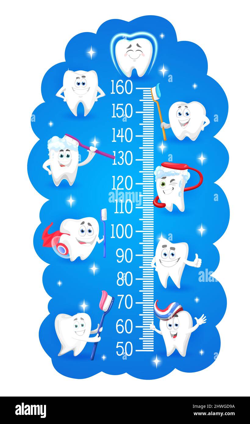 Cartoon teeth characters with toothbrushes, vector kids height chart or