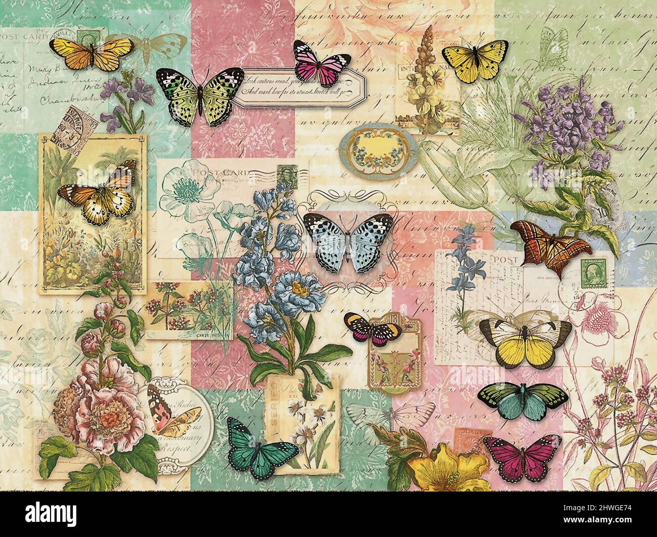 An illustration of butterflies on a typography background Stock Photo ...
