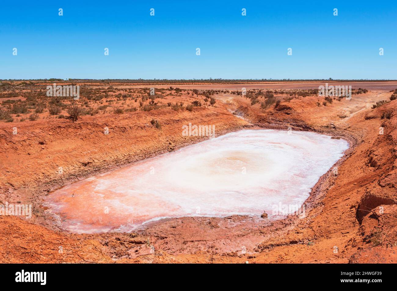 Salt in a drying up watering hole in the Australian Outback, Western Australia, WA, Australia Stock Photo