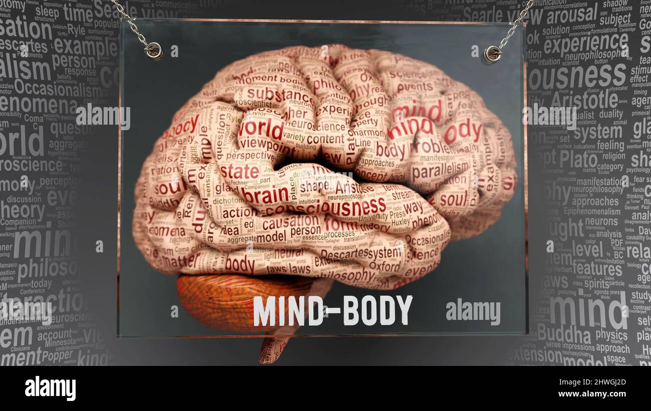 Mind body anatomy its causes and effects projected on a human brain