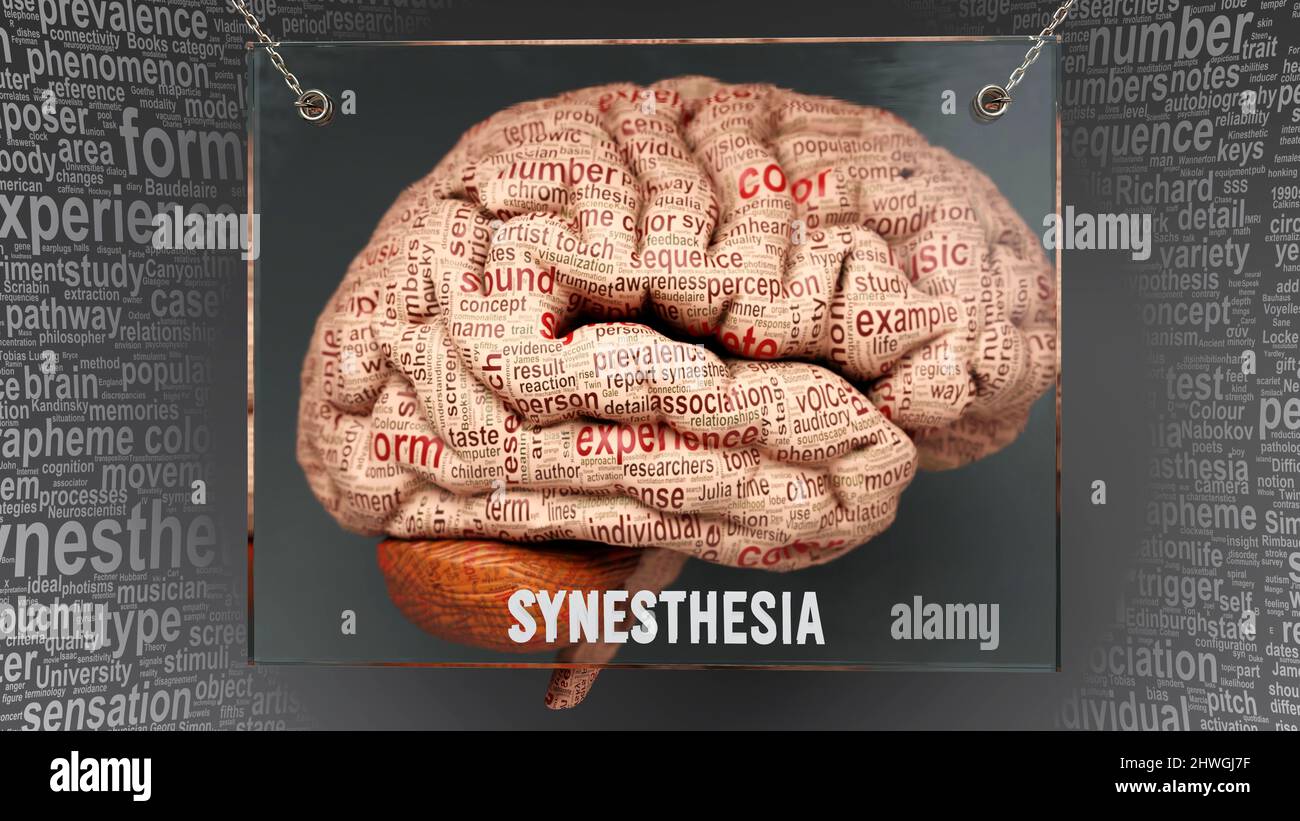 Synesthesia anatomy its causes and effects projected on a human brain