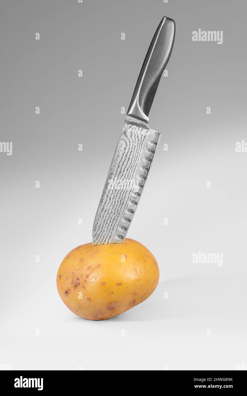 https://c8.alamy.com/comp/2HWGR9K/raw-potato-stabbed-with-a-pattern-welded-kitchen-knife-in-it-in-light-back-2HWGR9K.jpg