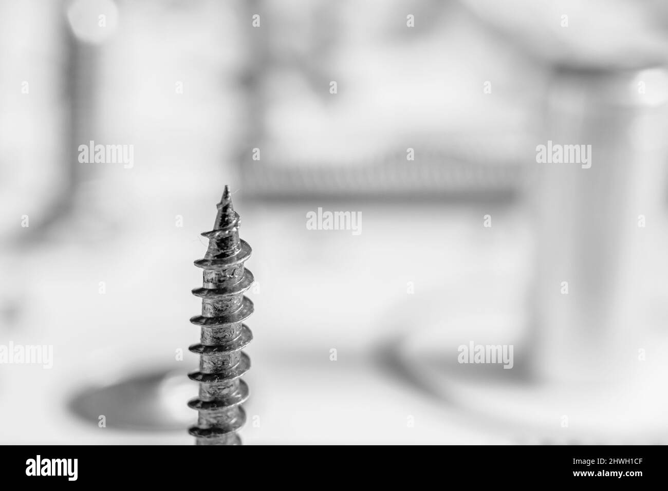 Screws and washers on white background Stock Photo Alamy