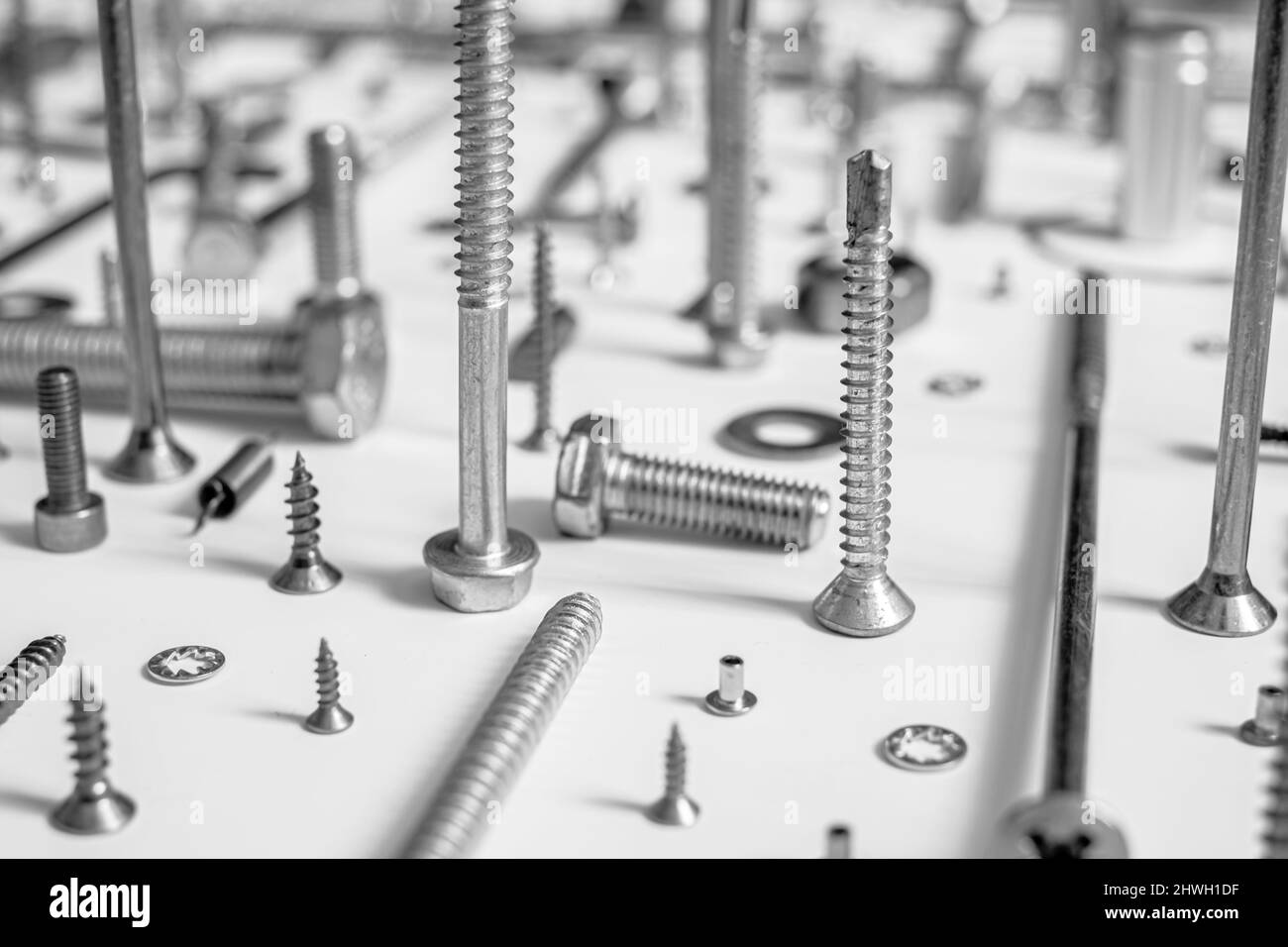 Screws and washers on white background Stock Photo Alamy