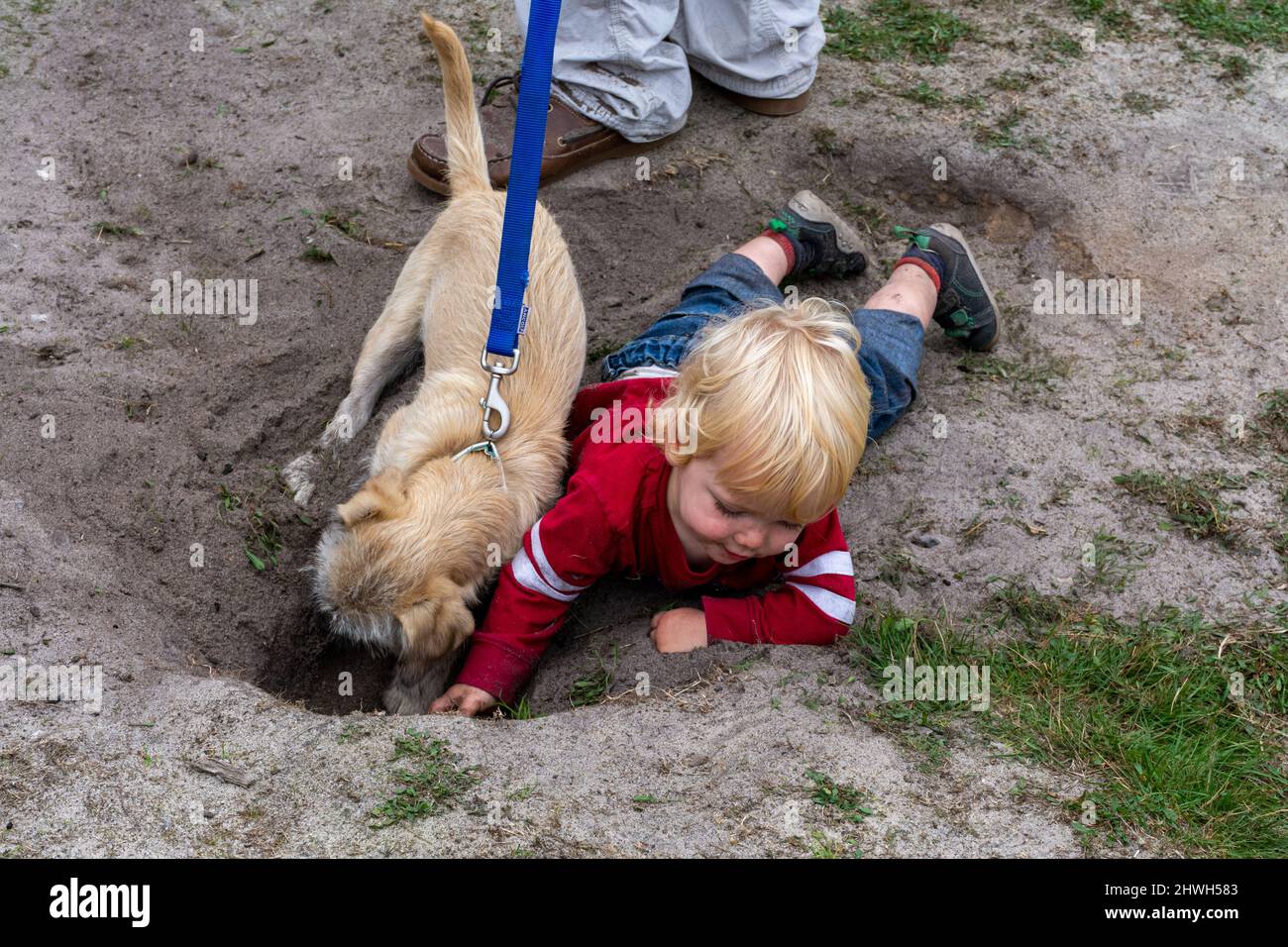Small child playing in the dirt with a pet dog, digging a hole. Concept of children playing outside in nature - healthy childhood- natural immunity Stock Photo